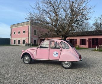 Visite privée du vignoble du Médoc 4H30