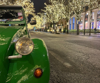 Illuminations de Noël  à Paris 2H00 + écharpe offerte