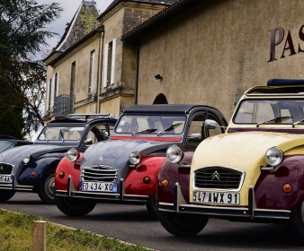 Visite du vignoble de Pessac-Léognan