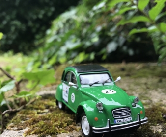 2CV Miniature Verte - Marguerite