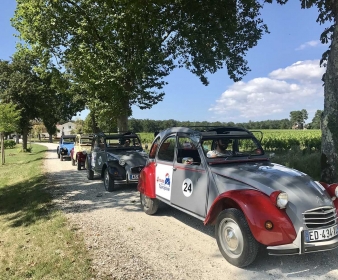 Visite du vignoble du Médoc