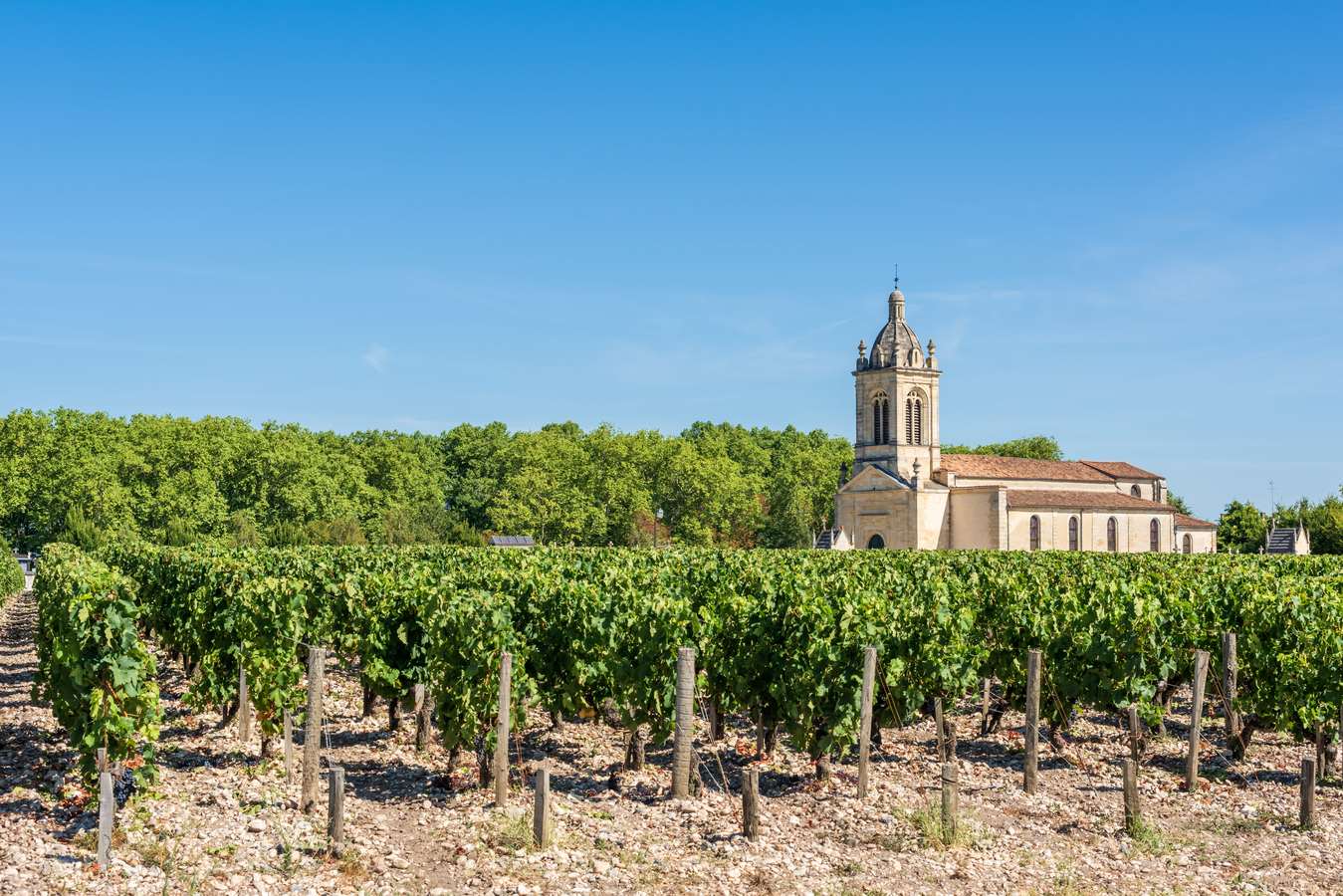 Wine Tour Médoc en 2CV